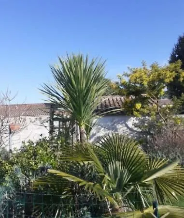 Les Palmiers לינה וארוחת בוקר