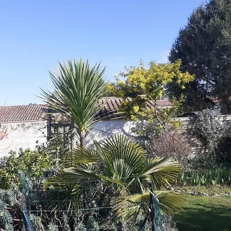 Bed & Breakfast Les Palmiers Saint-Jean-de-Monts