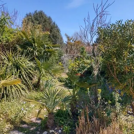 Bed & Breakfast Les Palmiers