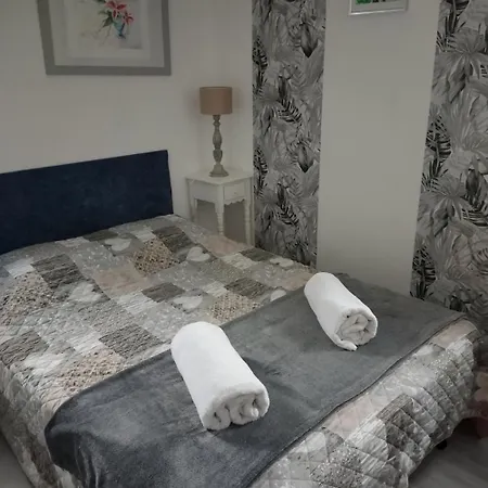 Les Palmiers לינה וארוחת בוקר סן ז'אן דה מון