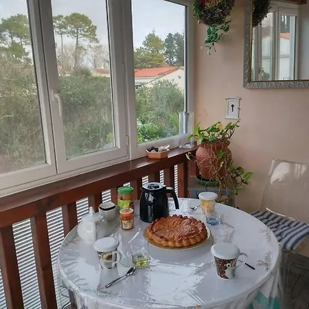Les Palmiers