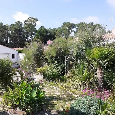 Les Palmiers לינה וארוחת בוקר סן ז'אן דה מון