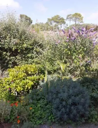 Les Palmiers 3* Saint-Jean-de-Monts