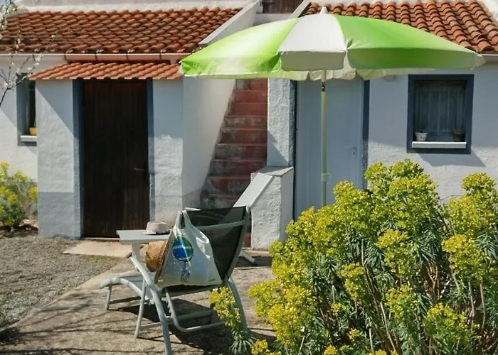 Les Palmiers Saint-Jean-de-Monts